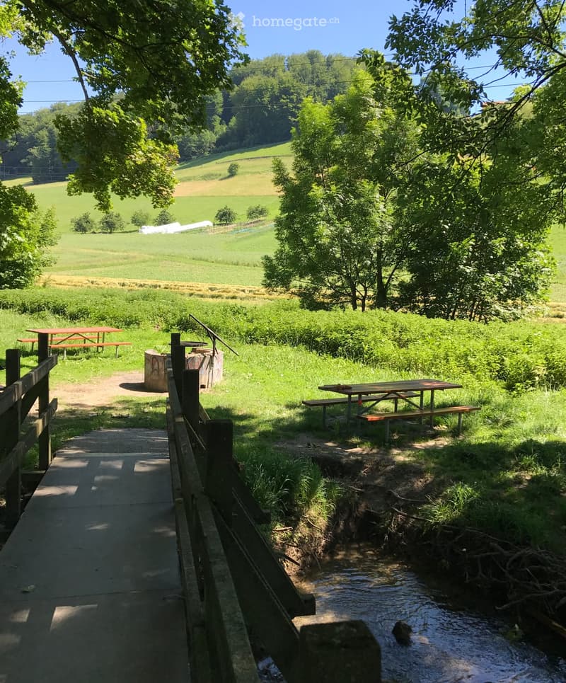 {"visible_features": ["View"],    "type": "Garden",    "description": "green grass, wooden bridge, picnic tables, small creek, trees, wide open fields",    "localized_descriptions":        {        "EN": "Garden: green grass, wooden bridge, picnic ta