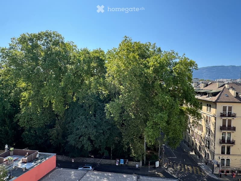 Superbe appartement de réception face au lac avec une vue imprenable au 6ème étage (21)