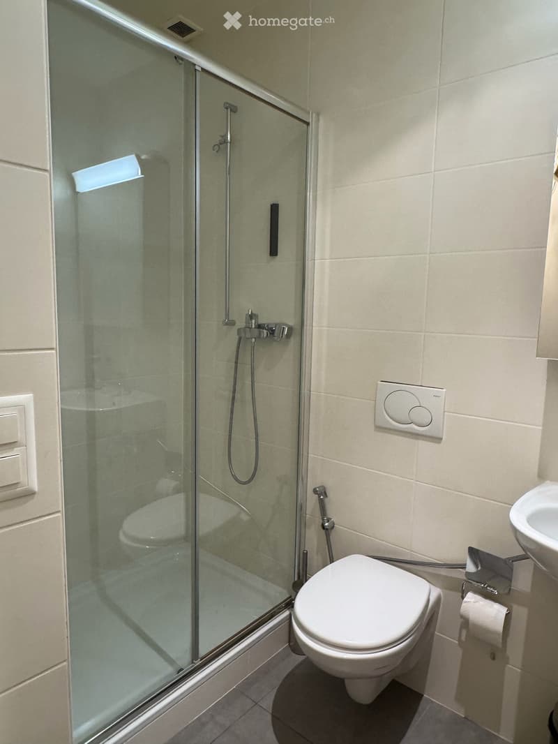 Superbe appartement de réception face au lac avec une vue imprenable au 6ème étage (13)