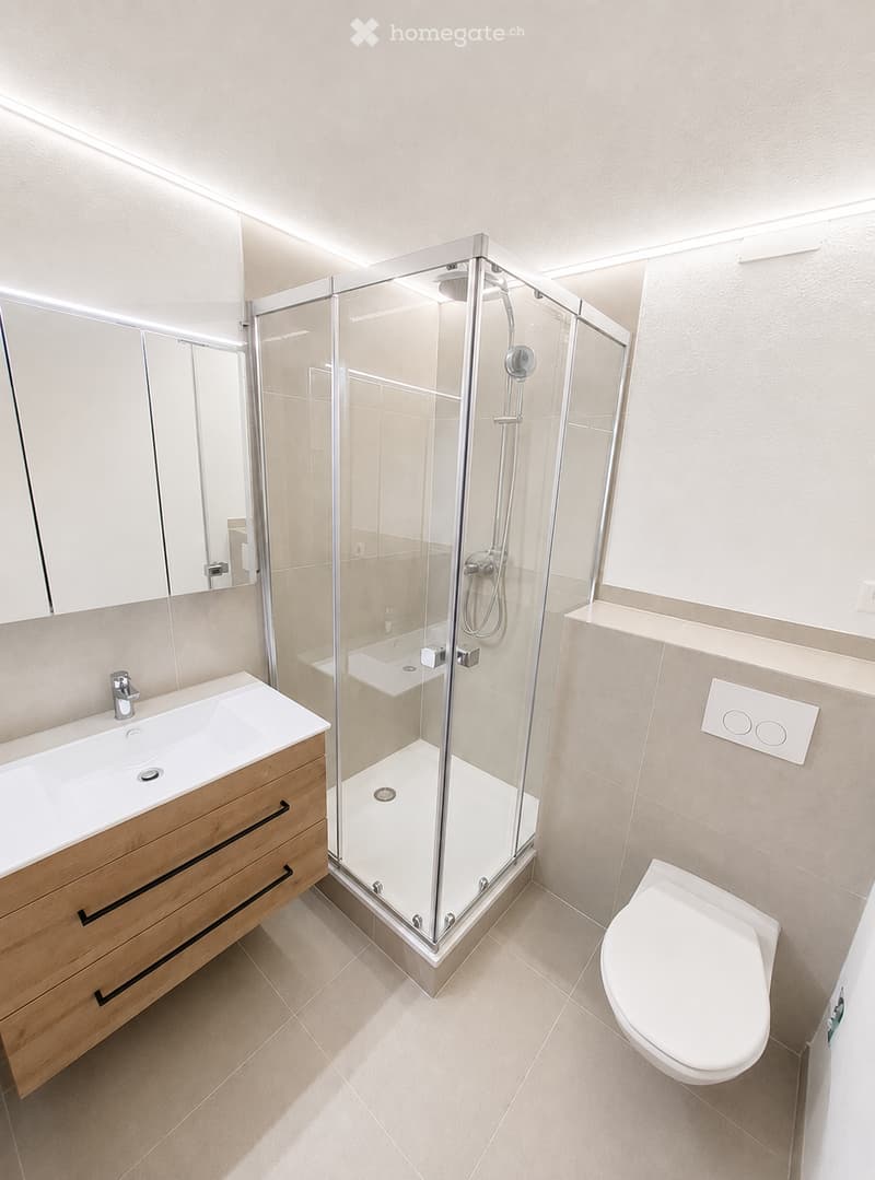Modern bathroom with a glass-enclosed shower, a white sink with wooden cabinet, a toilet, and a mirror above the sink.