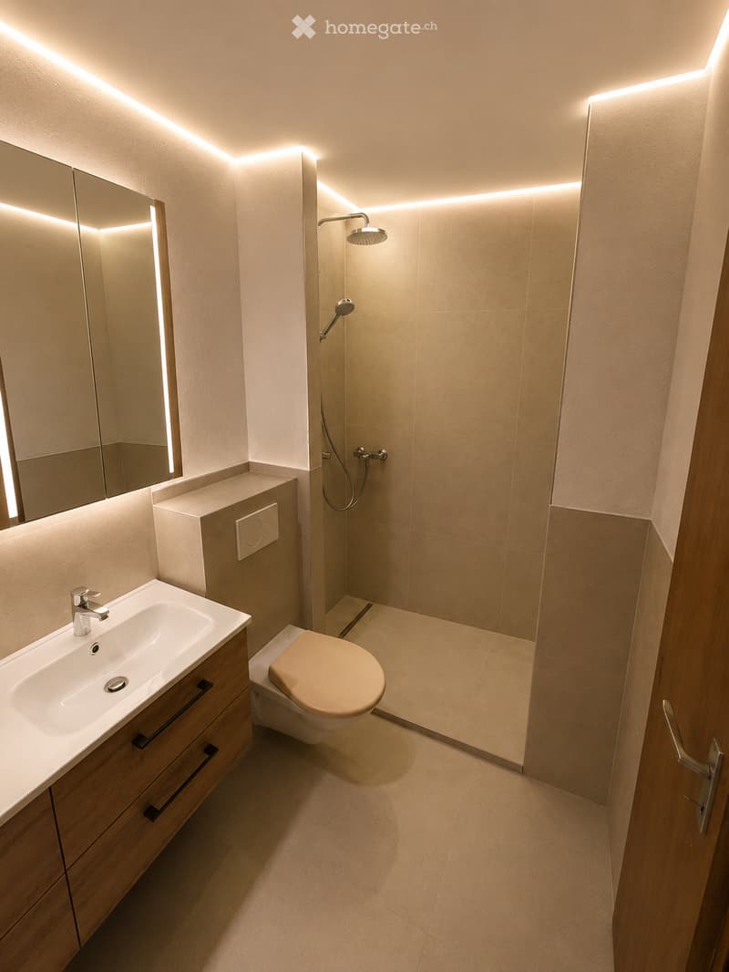 Modern bathroom with a white sink, wooden cabinet, mirror, toilet, and a glass-enclosed shower with a handheld showerhead.