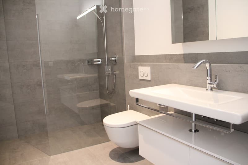Modern bathroom with a white sink, chrome faucet, toilet, and a glass-enclosed shower area with a built-in seat.