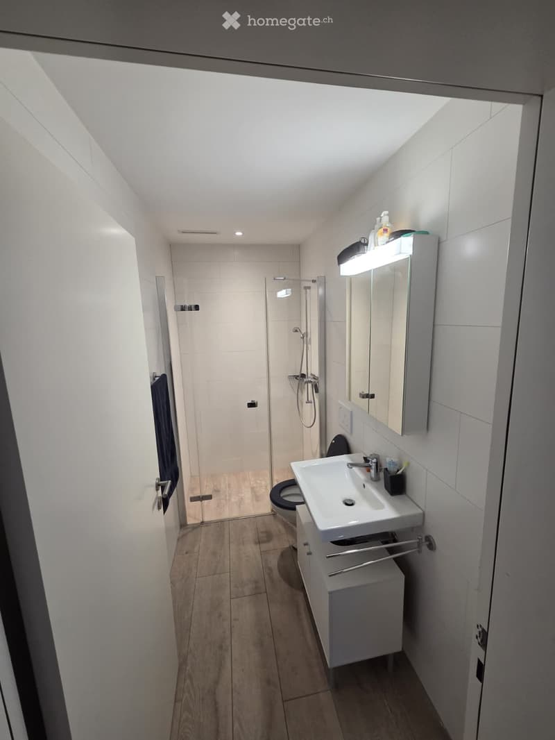 Modern bathroom with a white sink, mirror, toilet, and shower area. Wooden flooring and white tiled walls.
