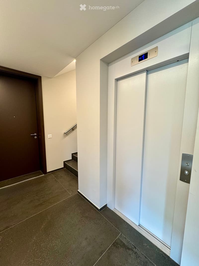 Corridor / Hallway. Modern hallway with a dark brown door on the left, a small staircase leading up, and an elevator on the right with a control panel above it.