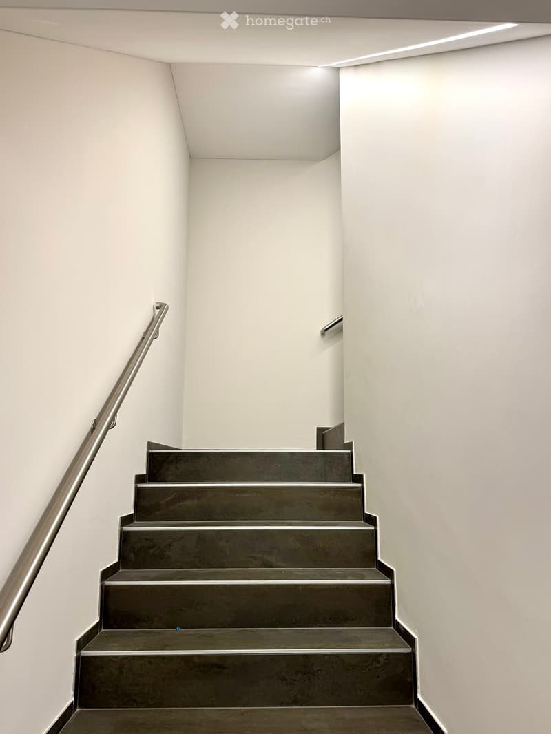 Corridor / Hallway. Modern staircase with dark concrete steps and a sleek metal handrail, set against white walls and a minimalist design.