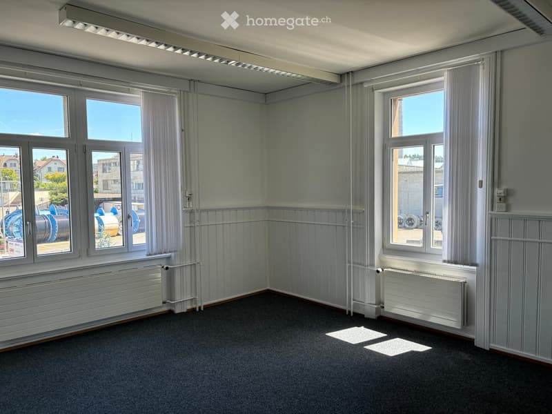 Empty room with light grey walls, carpeted floor, large windows with white curtains, radiators, and natural light from outside.