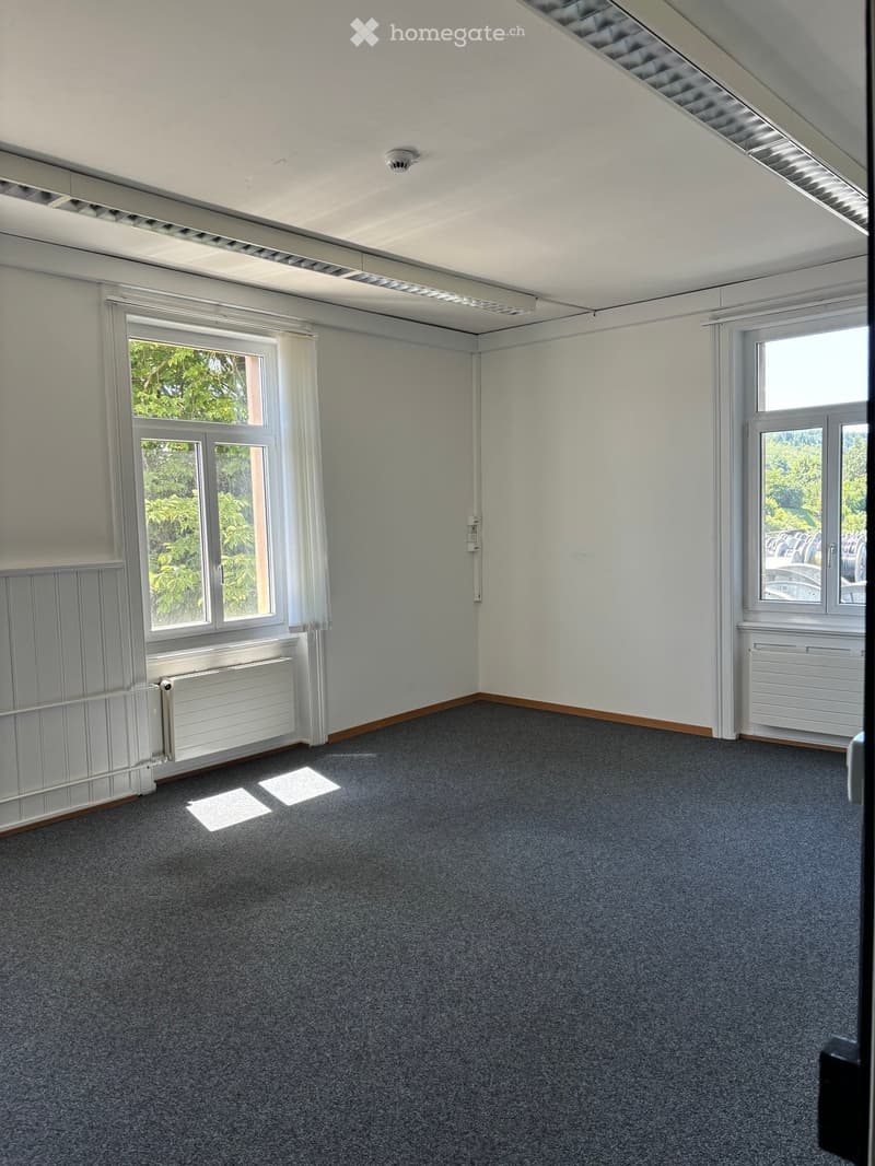 Empty room with grey carpet, white walls, large windows, radiators, and a skylight ceiling.