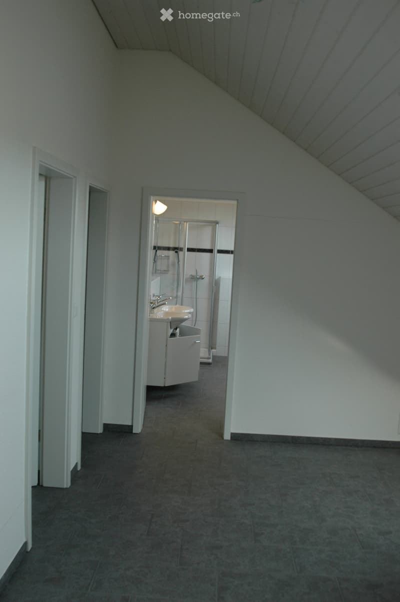 A narrow hallway with a slanted ceiling, leading to a small bathroom with a sink, mirror, and shower stall.
