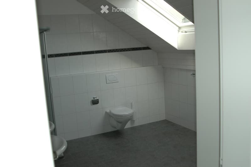 Modern bathroom with white tiled walls, dark tiled floor, toilet, sink, and a skylight window providing natural light.