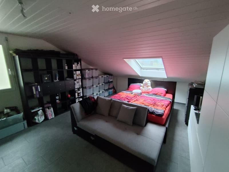 Cozy attic bedroom with a bed, sofa, shelves, and storage bins. Features a skylight window and slanted ceilings.