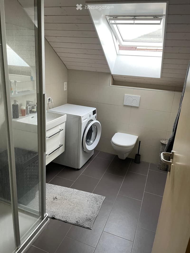 Modern bathroom with a sink, toilet, washing machine, and a skylight window. Includes a mirror, soap dispenser, and a small rug.