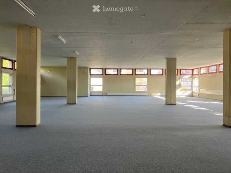 Empty room with carpeted floor, white walls, large windows, and pillars