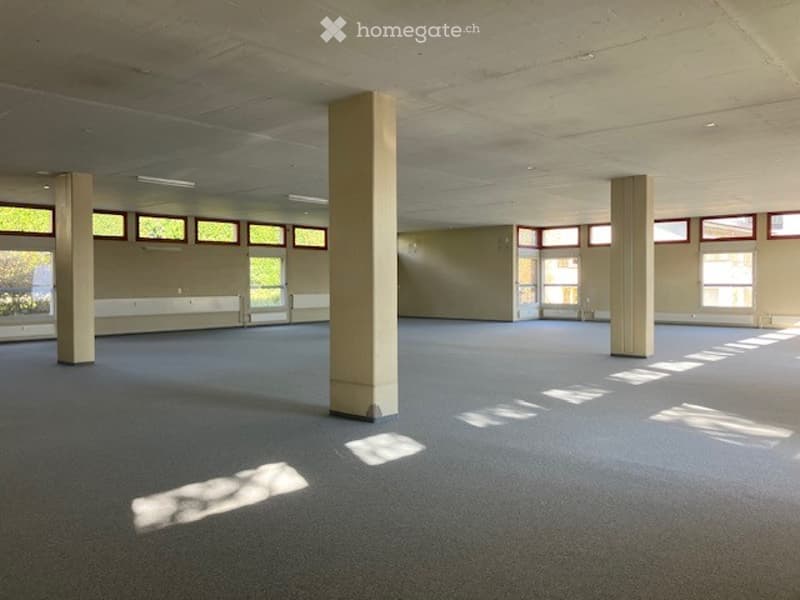 Empty room with carpeted floor, four pillars, large windows, ceiling lights