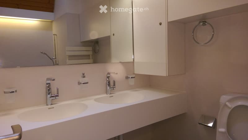 Modern bathroom with double sink, mirrored cabinet, and built-in storage. Features sleek chrome fixtures and soft lighting.