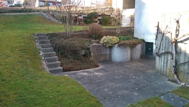 Garden area with concrete steps leading up to a raised section, featuring small plants and shrubs in concrete planters, surrounded by grass and a paved pathway.