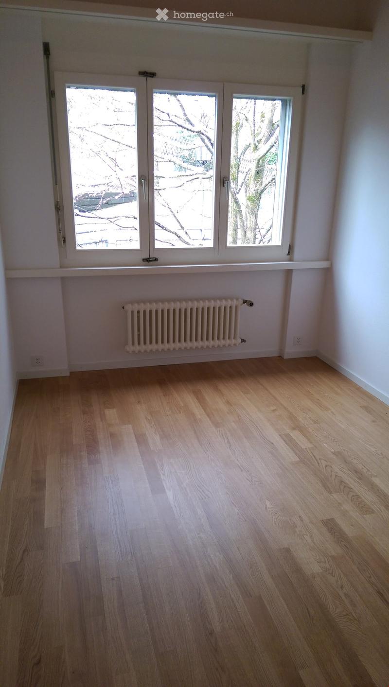 Empty room with light wooden flooring, white walls, and a radiator below a large window with multiple panes.