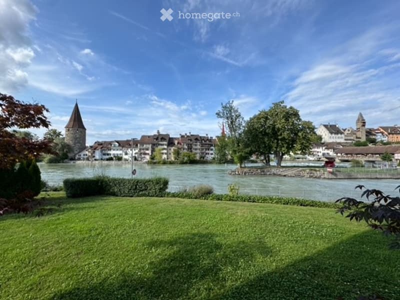 A well-maintained park area with green grass, trees, and a view of a town across a river with historic buildings and a tower.