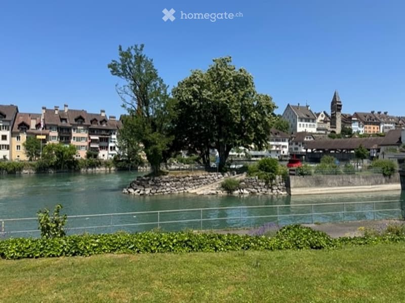 A scenic riverside view with a stone embankment, trees, and a row of buildings in the background.