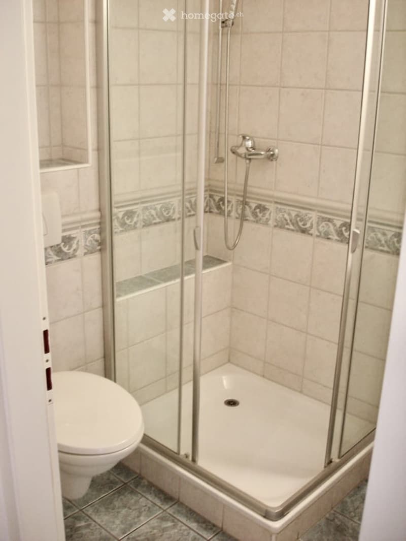 Modern bathroom with a white toilet, a glass-enclosed shower stall, and a chrome showerhead and faucet.