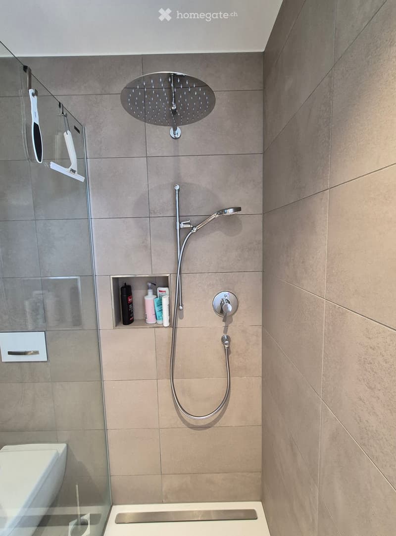 Modern bathroom with a large, round showerhead, a handheld shower hose, a built-in shelf holding toiletries, a toilet, and a bathtub.