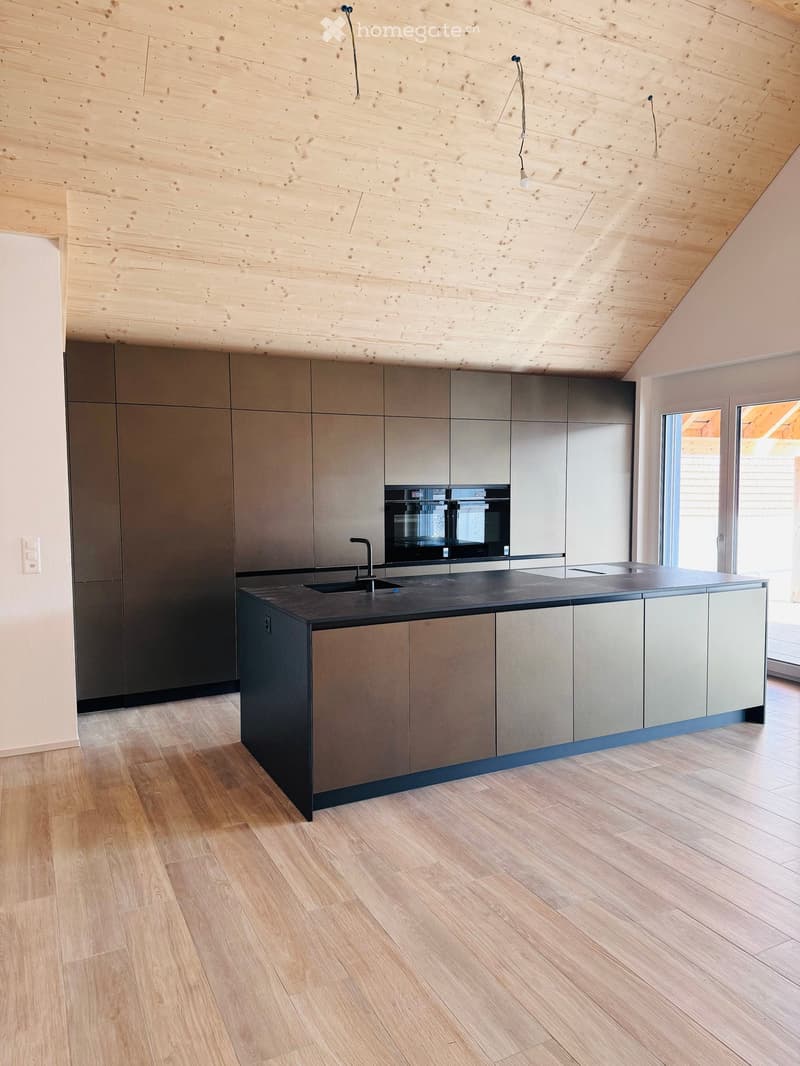modern kitchen, wood floor, stainless steel kitchen appliances, glass windows