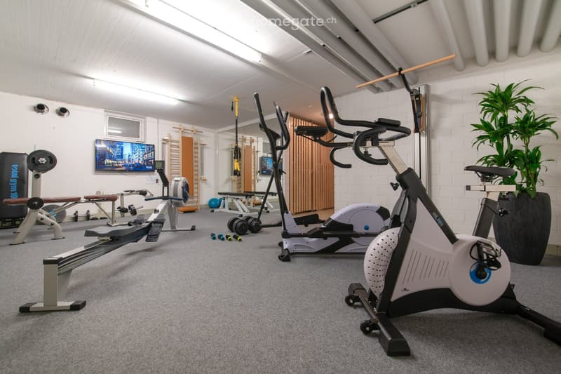 Modern fitness room with various exercise equipment including an elliptical machine, exercise bike, bench, dumbbells, and a screen. There is a large potted plant in the corner.