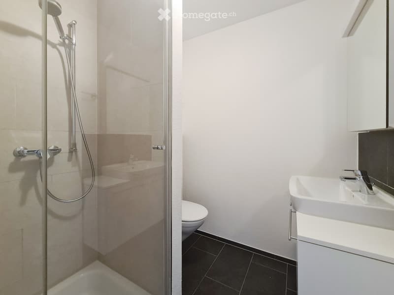 Modern bathroom with a glass-enclosed shower, a white sink with a mirror, and a toilet. The shower features a handheld sprayer and a fixed overhead showerhead.