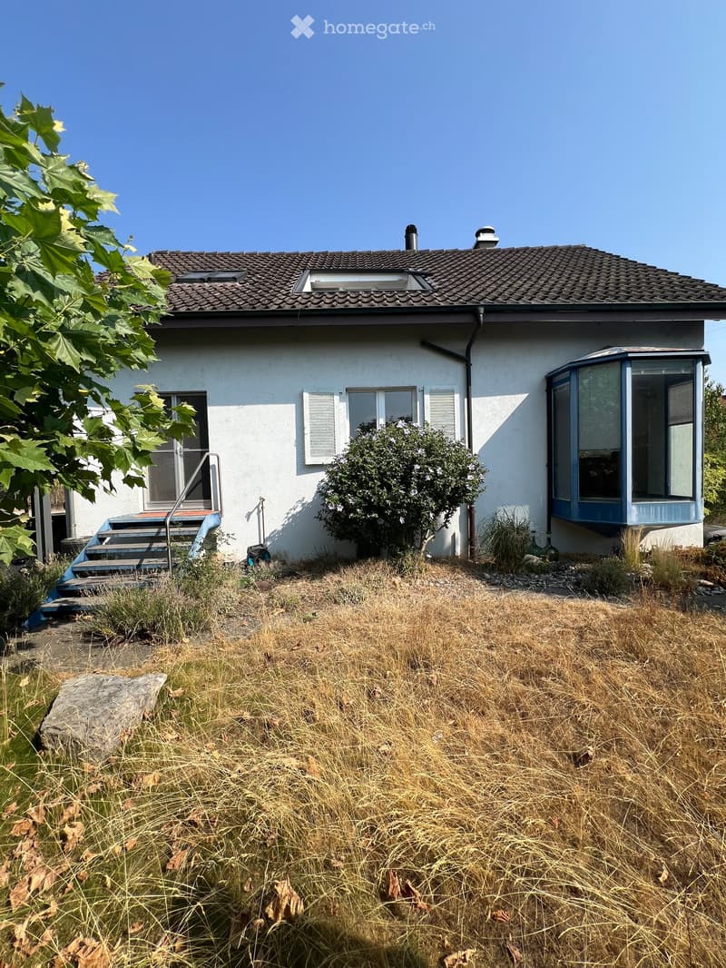 Single-story house with white walls, dark roof, multiple windows, and a small garden area with dry grass and a few plants.