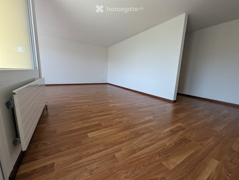 Empty room with wooden flooring, white walls, and a radiator on the left side.
