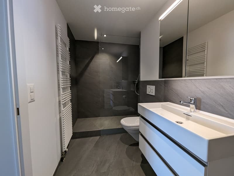 Modern bathroom with a double sink, toilet, large mirror, and a glass-enclosed shower area. Features a radiator and sleek, contemporary design.