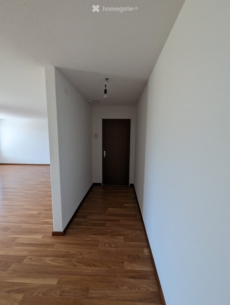 Empty hallway with wooden flooring, white walls, and a single door at the end.