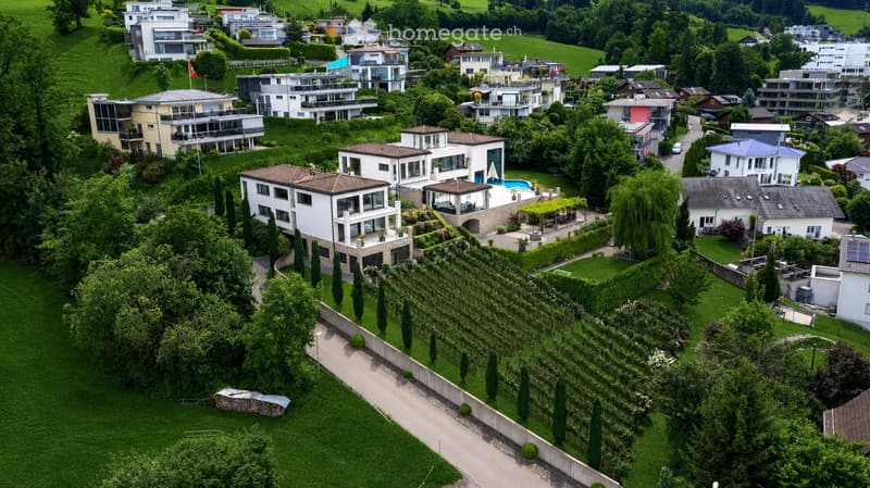 Aerial view of a residential area with multiple modern houses, green lawns, trees, and a swimming pool visible in the foreground.