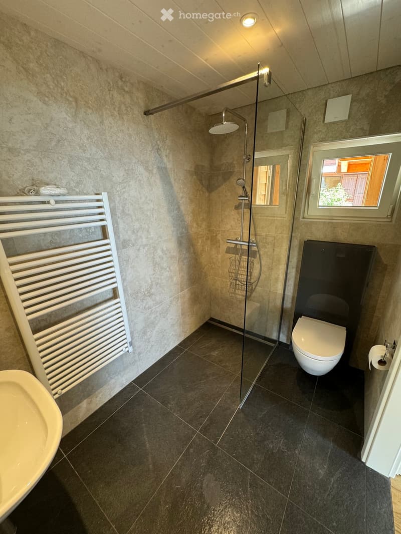 Modern bathroom with dark tiled floor, white radiator, glass-enclosed shower, toilet, and sink.