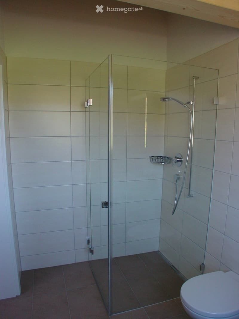 Modern bathroom with a glass-enclosed shower, a toilet, and tiled walls and floor.