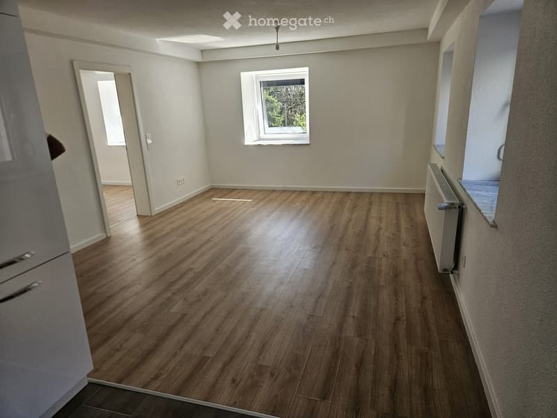 Empty room with wooden flooring, white walls, and a window with a view of greenery. The room features a radiator on one wall and a door leading to another space.