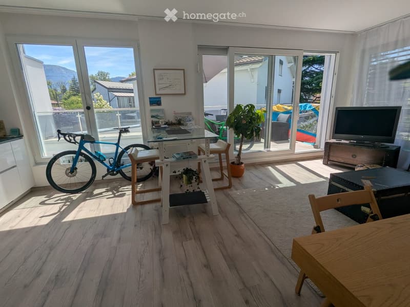 Open living room with wooden floor, large windows, bicycle, table, plant, TV, and chair.