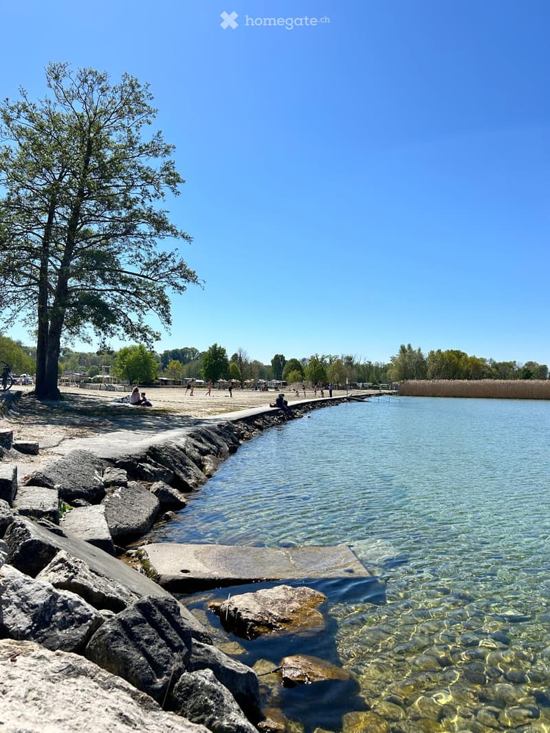 A serene lakeside scene with a sandy beach, rocky shoreline, and a clear blue lake. People are enjoying the area under a large tree, with a pathway leading to the water.