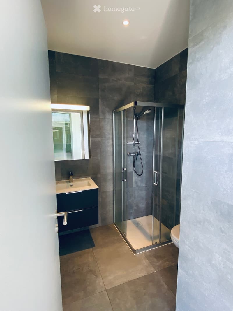 Modern bathroom with dark grey tiles, a glass-enclosed shower, a sink with a mirror, and a toilet. The space features a sleek design with a dark vanity cabinet and warm lighting.