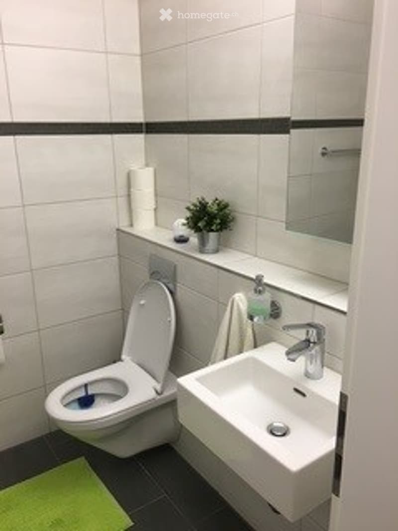 Modern bathroom with white tiles, a toilet, a sink with a chrome faucet, a mirror, a towel, and a small potted plant on the windowsill.