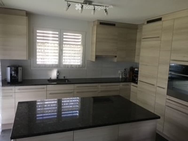 Modern kitchen with light wood cabinets, black countertop, stainless steel sink, and built-in oven. Features a window with blinds and track lighting above the counter.
