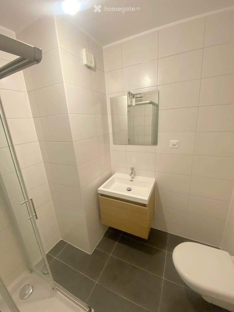 Modern bathroom with white tiled walls, a sink with a wooden cabinet, a mirror, and a toilet. The shower area is visible with a glass door.