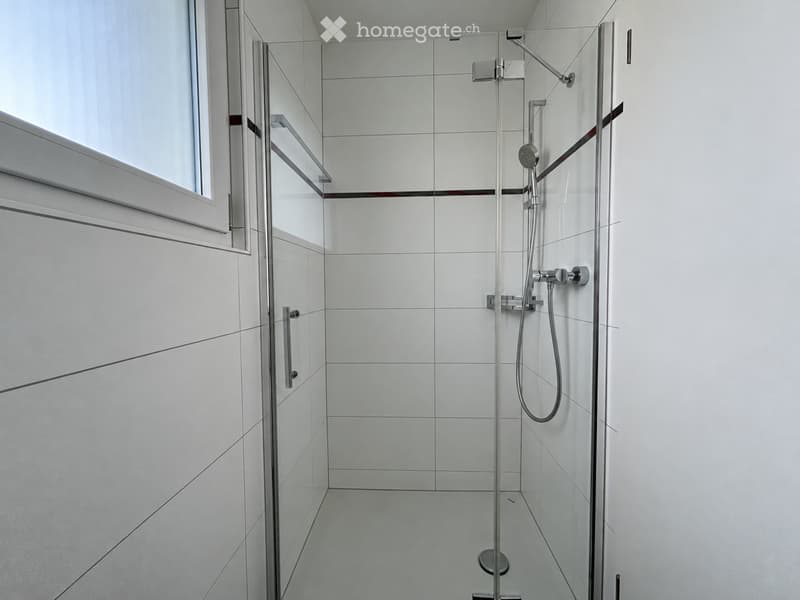 Modern shower area with white tiles, glass enclosure, and a handheld showerhead.