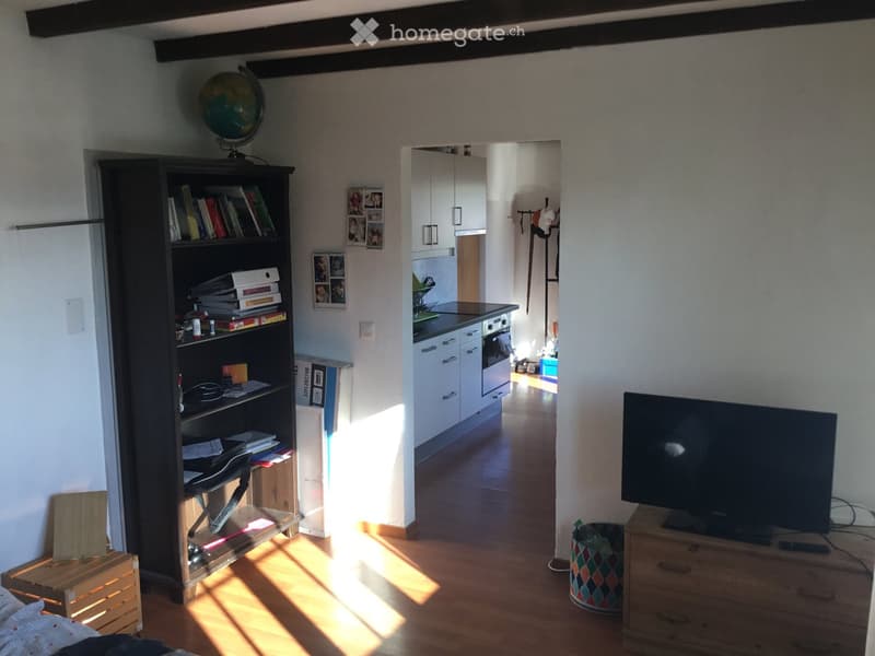 A well-lit room with wooden flooring, a bookshelf filled with books and decorative items, a television on a wooden stand, and a view into a modern kitchen area with white cabinets and stainless steel appliances.