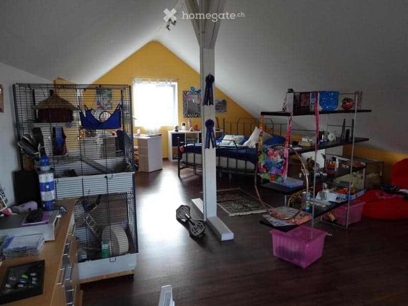 The image shows a furnished attic room with a hamster cage, a bed, a desk, and various pet accessories. The room features wooden flooring, slanted ceilings, and a window with blinds. There are shelves with books and other items, and a colorful rug on the