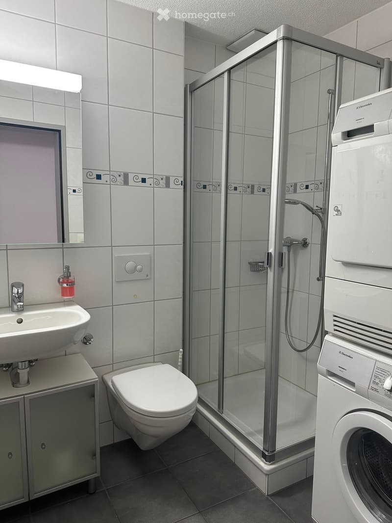 Modern bathroom with white tiles, a glass-enclosed shower, a toilet, a sink with a mirror, and a washing machine.