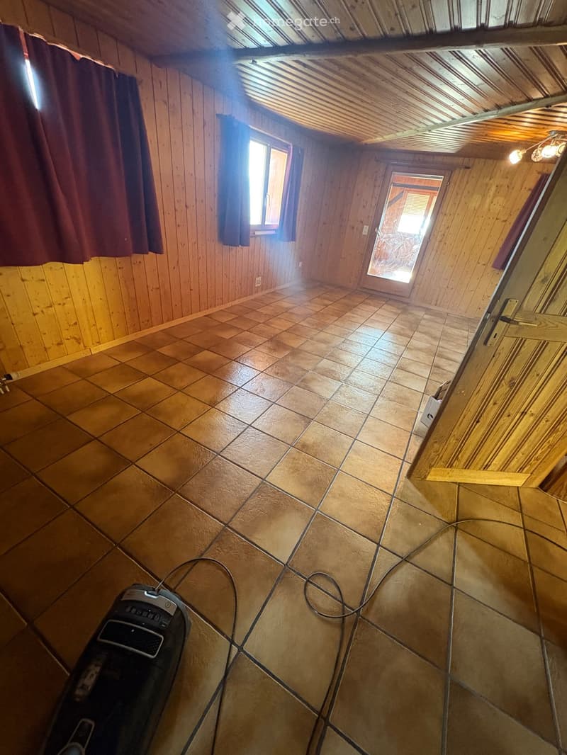 Empty room with wooden walls, tiled floor, and skylight windows. No furniture or equipment visible.