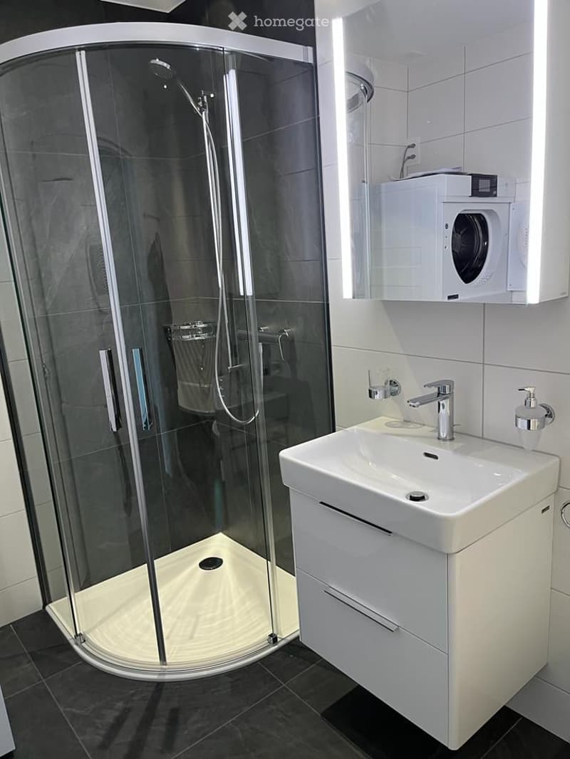 Modern bathroom with a glass-enclosed shower stall, a white sink with a chrome faucet, a soap dispenser, a mirror, and a washing machine on a shelf above the sink.