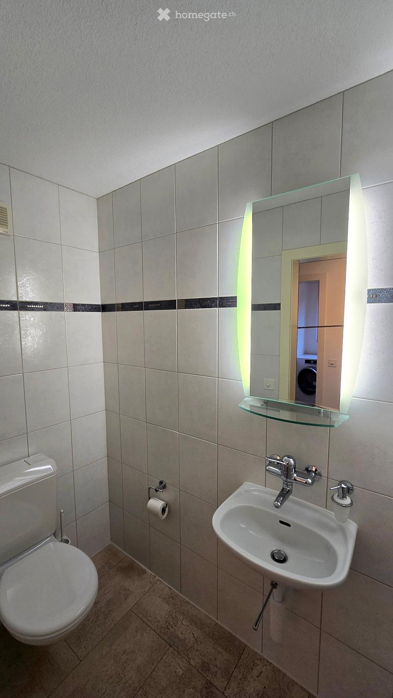 Modern bathroom with white tiles, a toilet, a sink with a chrome faucet, a large mirror with a glass shelf, and a toilet paper holder.