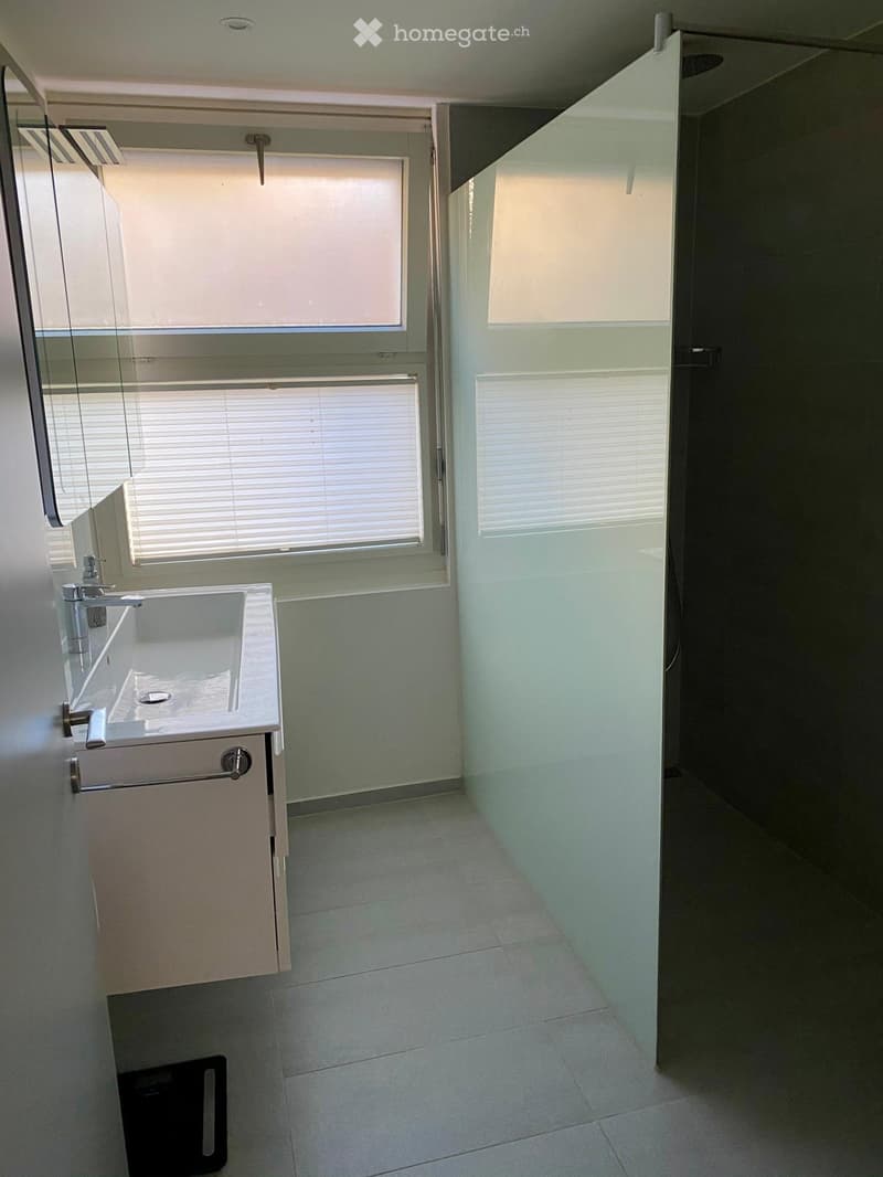 Modern bathroom with a white sink, chrome faucet, and built-in cabinet. Features large windows with blinds and a glass shower enclosure.