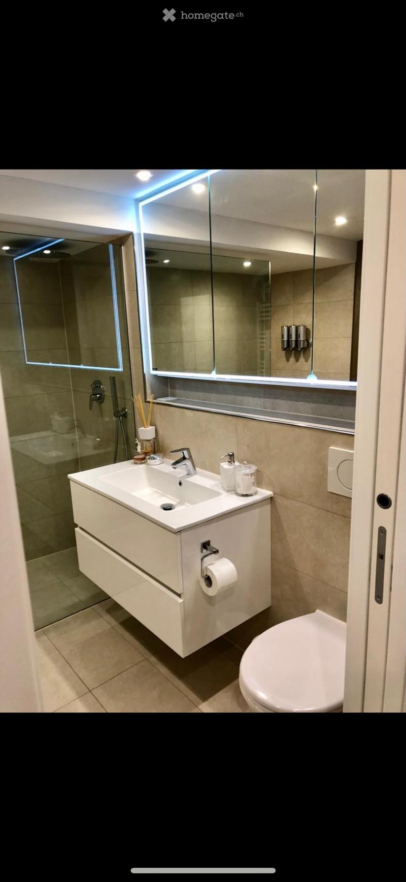 Modern bathroom with a white sink, large mirror, toilet, and a glass-enclosed shower. Features include a built-in cabinet under the sink, a soap dispenser, and a toothbrush holder.